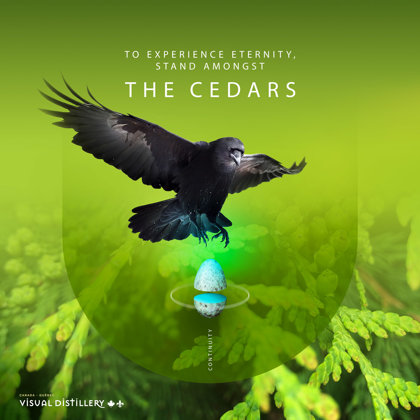 « Stand amongst the cedars » art et illustration numérique